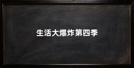 生活大爆炸第四季