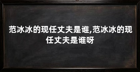 范冰冰的现任丈夫是谁,范冰冰的现任丈夫是谁呀