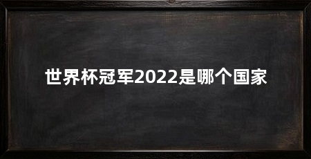 世界杯冠军2022是哪个国家