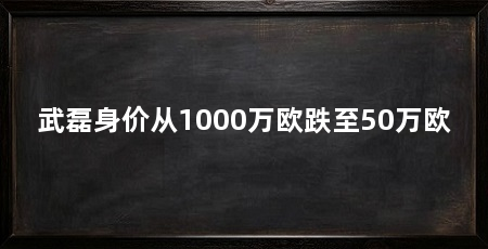 武磊身价从1000万欧跌至50万欧
