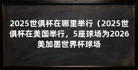 2025世俱杯在哪里举行（2025世俱杯在美国举行，5座球场为2026美加墨世界杯球场