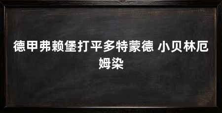 德甲弗赖堡打平多特蒙德 小贝林厄姆染