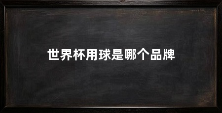 世界杯用球是哪个品牌