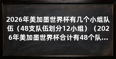 2026年美加墨世界杯有几个小组队伍(48支队伍划分12小组)(2026年美加墨世界杯合计有48个队伍参与,每个小组有4支队伍参与