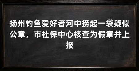 扬州钓鱼爱好者河中捞起一袋疑似公章,市社保中心核查为假章并上报