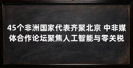 45个非洲国家代表齐聚北京 中非媒体合作论坛聚焦人工智能与零关税