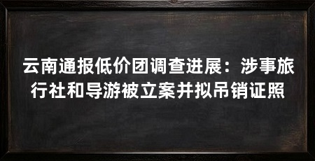 云南通报低价团调查进展：涉事旅行社和导游被立案并拟吊销证照