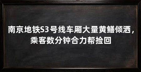 南京地铁S3号线车厢大量黄鳝倾洒,乘客数分钟合力帮捡回