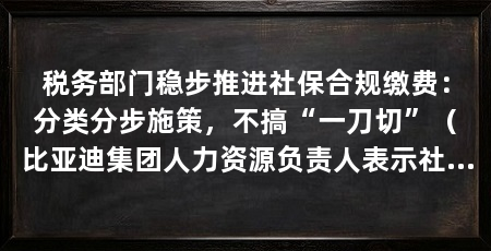 税务部门稳步推进社保合规缴费：分类分步施策，不搞“一刀切”（比亚迪集团人力资源负责人表示社保合规缴费不强制要求“一步到位”