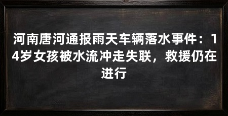 河南唐河通报雨天车辆落水事件：14岁女孩被水流冲走失联，救援仍在进行