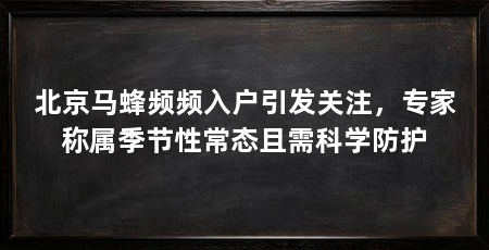 北京马蜂频频入户引发关注，专家称属季节性常态且需科学防护