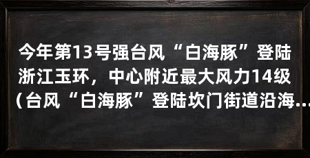 今年第13号强台风“白海豚”登陆浙江玉环,中心附近最大风力14级(台风“白海豚”登陆坎门街道沿海登陆时中心附近最大风力14级