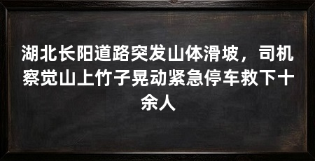 湖北长阳道路突发山体滑坡，司机察觉山上竹子晃动紧急停车救下十余人