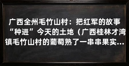 广西全州毛竹山村:把红军的故事“种进”今天的土地(广西桂林才湾镇毛竹山村的葡萄熟了一串串果实垂在藤架下
