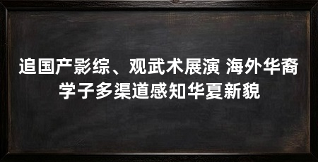 追国产影综、观武术展演 海外华裔学子多渠道感知华夏新貌