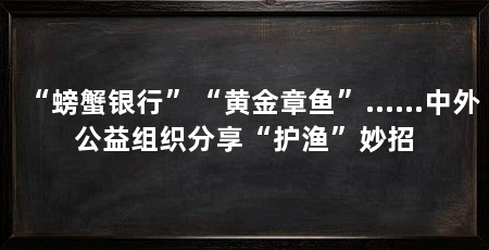 “螃蟹银行”“黄金章鱼”……中外公益组织分享“护渔”妙招