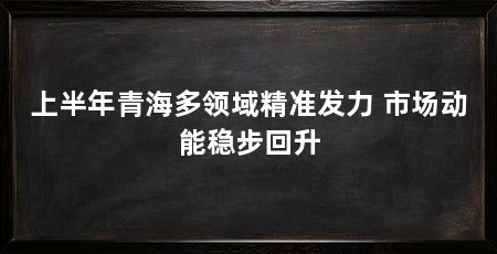 上半年青海多领域精准发力 市场动能稳步回升