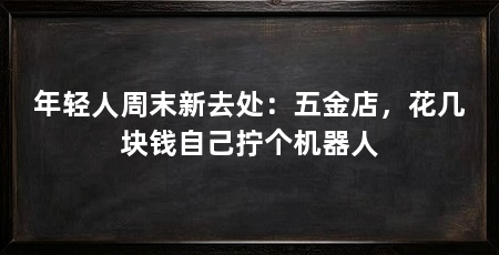 年轻人周末新去处:五金店,花几块钱自己拧个机器人