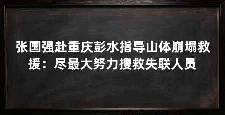 张国强赴重庆彭水指导山体崩塌救援：尽最大努力搜救失联人员