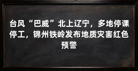台风“巴威”北上辽宁,多地停课停工,锦州铁岭发布地质灾害红色预警