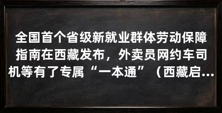 全国首个省级新就业群体劳动保障指南在西藏发布,外卖员网约车司机等有了专属“一本通”(西藏启动新就业群体劳动保障权益服务“一本通”