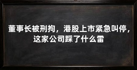 董事长被刑拘，港股上市紧急叫停，这家公司踩了什么雷