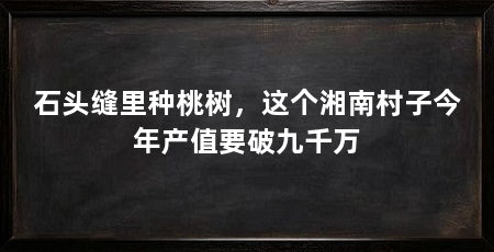石头缝里种桃树，这个湘南村子今年产值要破九千万