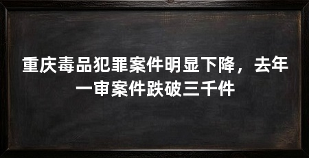 重庆毒品犯罪案件明显下降,去年一审案件跌破三千件
