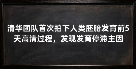 清华团队首次拍下人类胚胎发育前5天高清过程，发现发育停滞主因
