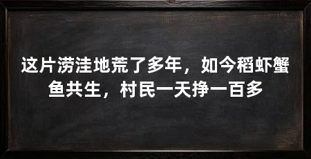 这片涝洼地荒了多年，如今稻虾蟹鱼共生，村民一天挣一百多