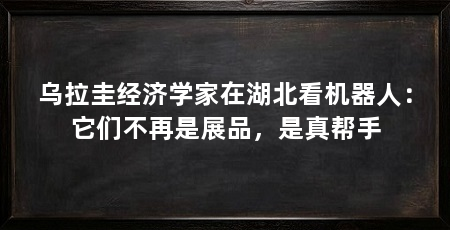 乌拉圭经济学家在湖北看机器人:它们不再是展品,是真帮手