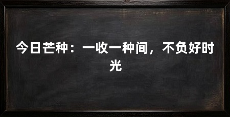 今日芒种：一收一种间，不负好时光