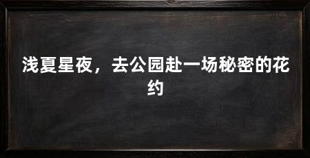 浅夏星夜，去公园赴一场秘密的花约