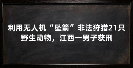 利用无人机“坠箭”非法狩猎21只野生动物，江西一男子获刑