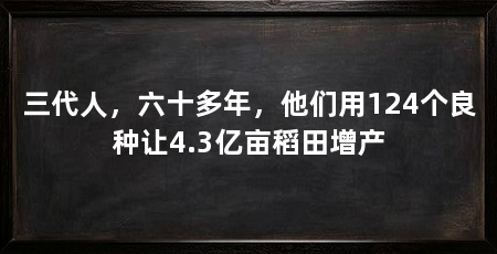 三代人,六十多年,他们用124个良种让4.3亿亩稻田增产