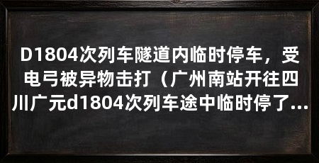 D1804次列车隧道内临时停车,受电弓被异物击打(广州南站开往四川广元d1804次列车途中临时停了下来