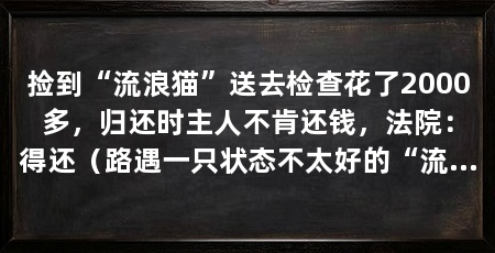 捡到“流浪猫”送去检查花了2000多，归还时主人不肯还钱，法院：得还（路遇一只状态不太好的“流浪猫”，好心人自掏腰包送去医院检查…
