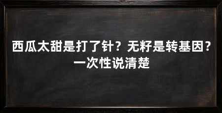 西瓜太甜是打了针?无籽是转基因?一次性说清楚