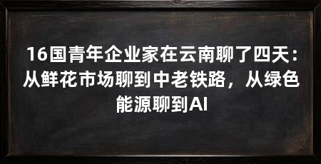 16国青年企业家在云南聊了四天：从鲜花市场聊到中老铁路，从绿色能源聊到AI