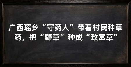 广西瑶乡“守药人”带着村民种草药，把“野草”种成“致富草”