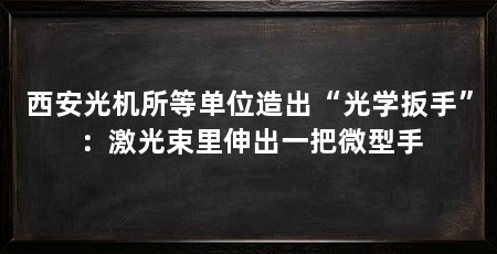 西安光机所等单位造出“光学扳手”:激光束里伸出一把微型手