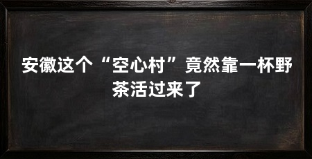 安徽这个“空心村”竟然靠一杯野茶活过来了