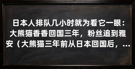 日本人排队几小时就为看它一眼：大熊猫香香回国三年，粉丝追到雅安（大熊猫三年前从日本回国后，饲养师叫赵兰兰，干了16年的香香