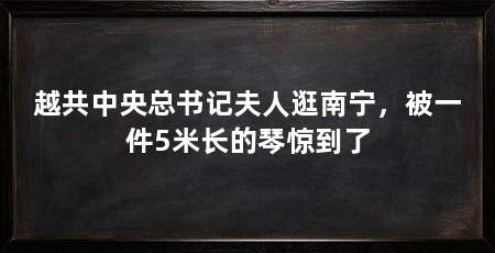 越共中央总书记夫人逛南宁,被一件5米长的琴惊到了