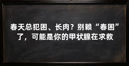 春天总犯困、长肉?别赖“春困”了,可能是你的甲状腺在求救