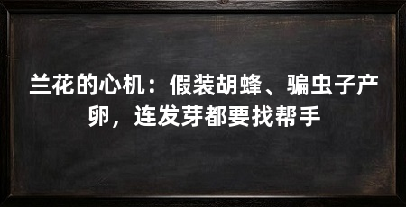 兰花的心机：假装胡蜂、骗虫子产卵，连发芽都要找帮手
