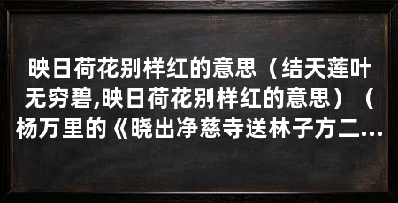 映日荷花别样红的意思(结天莲叶无穷碧,映日荷花别样红的意思)(杨万里的《晓出净慈寺送林子方二首》:接天莲叶无穷碧