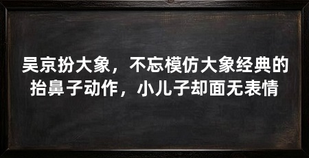 吴京扮大象,不忘模仿大象经典的抬鼻子动作,小儿子却面无表情