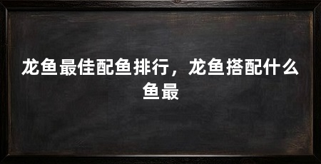 龙鱼最佳配鱼排行,龙鱼搭配什么鱼最