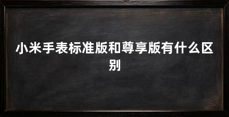 小米手表标准版和尊享版有什么区别
